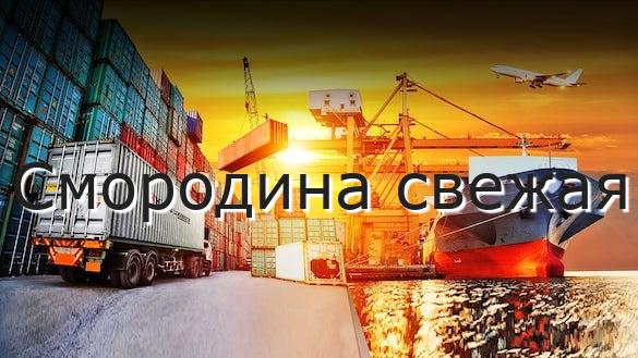 Смородина свежая