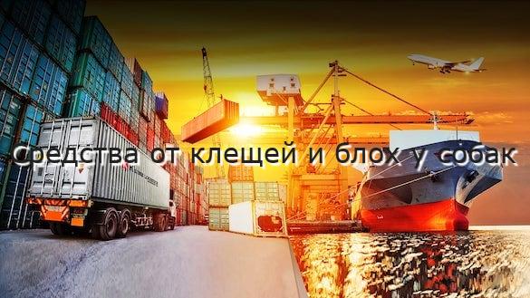 Средства от клещей и блох у собак